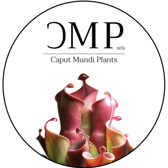 Caput Mundi Plants
