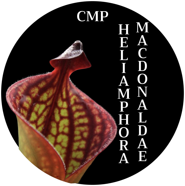 ADESIVO HELIAMPHORA MACDONALDAE